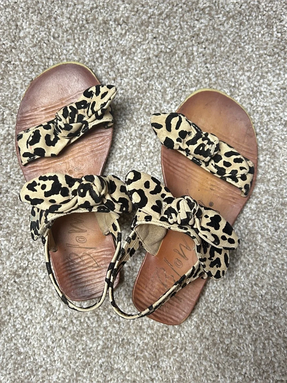 Blowfish leopard print